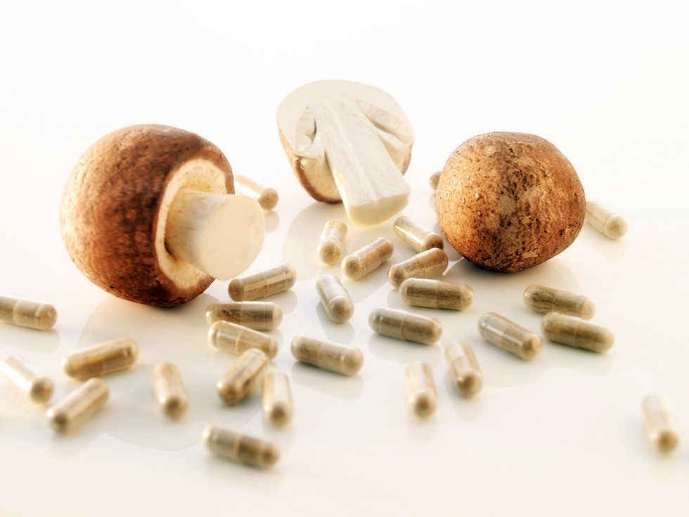Подтверждённые отзывами больных полезные свойства гриба агарик